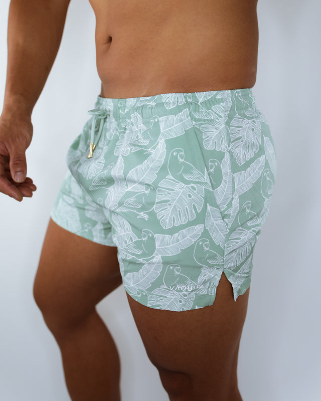 Wyld Mint Matching Set - Swim Brief & Shorts