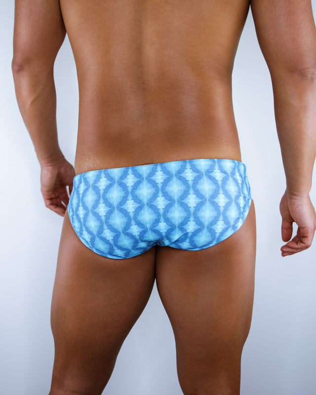 Arctic Blast - Enhancing Swim Brief